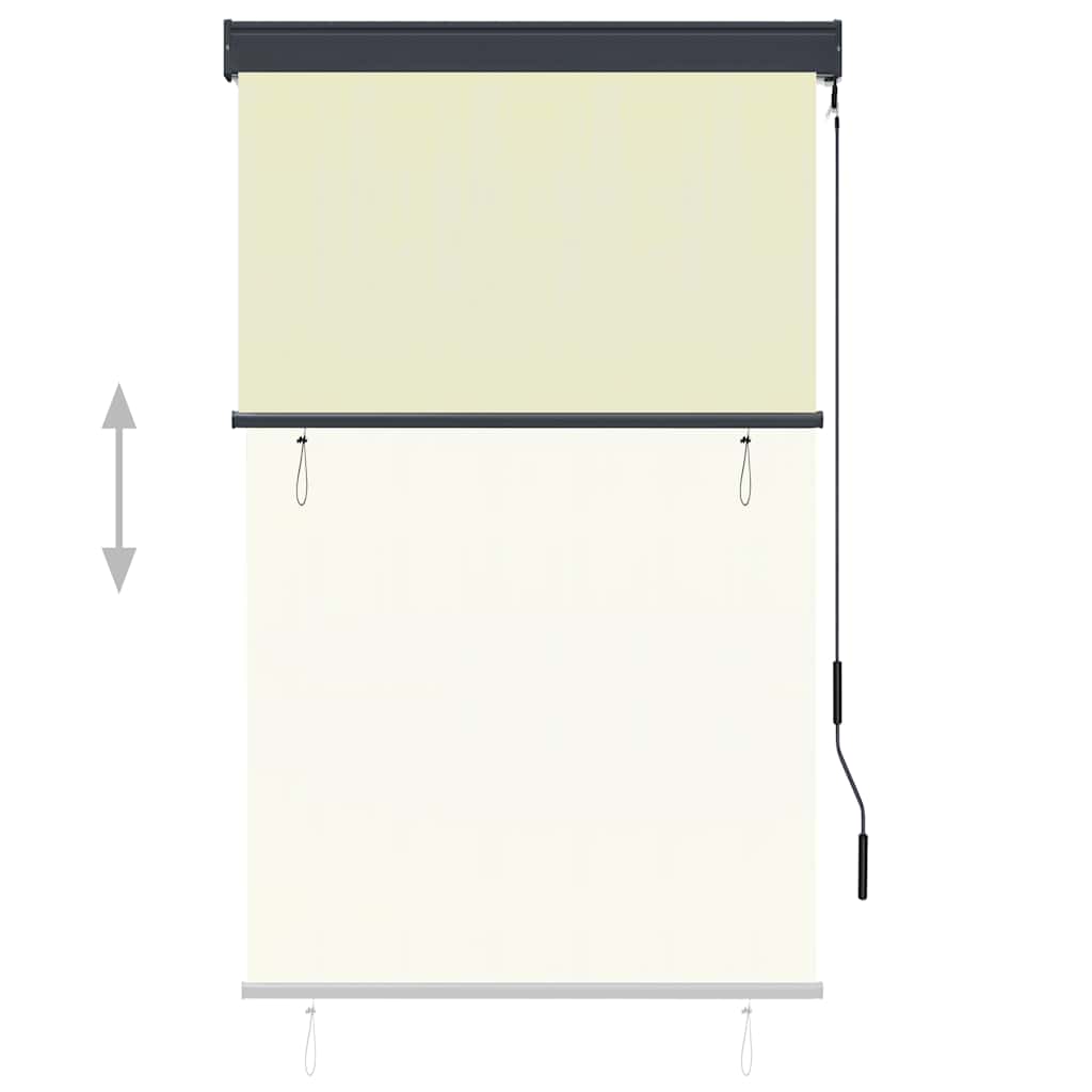 Outdoor Roller Blind 100x250 cm Cream