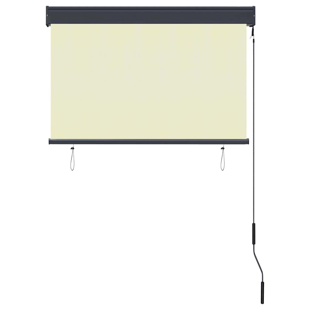 Outdoor Roller Blind 100x250 cm Cream