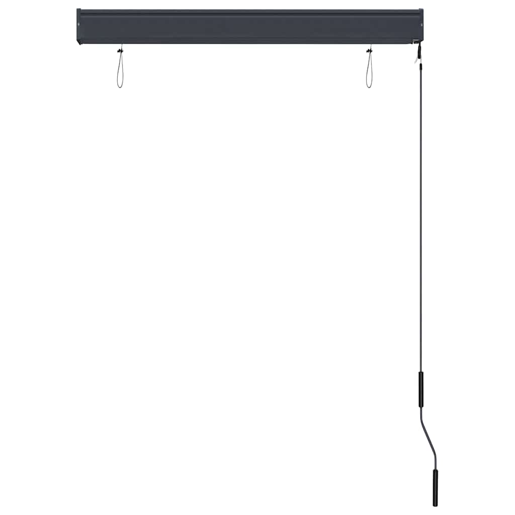 Outdoor Roller Blind 100x250 cm Cream