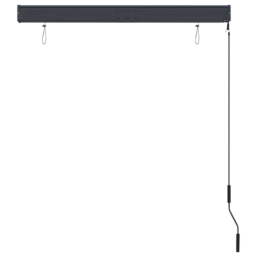 Outdoor Roller Blind 120x250 cm Blue and White