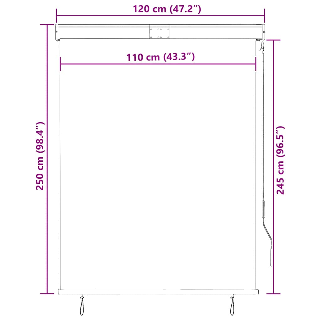 Outdoor Roller Blind 120x250 cm Blue and White