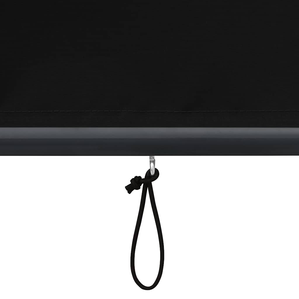 Outdoor Roller Blind 160x250 cm Anthracite