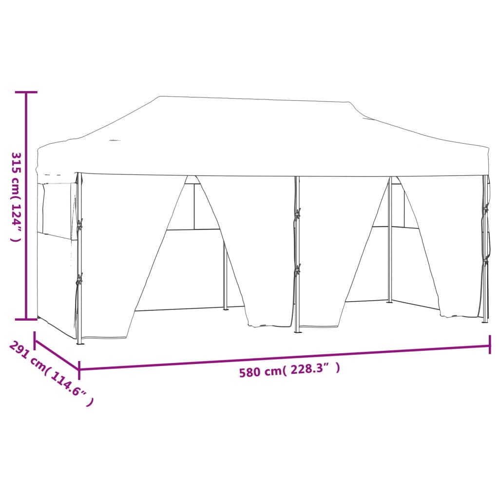 Professionele Opvouwbare Partytent met 4 Zijwanden 3x6 m Staal Antraciet