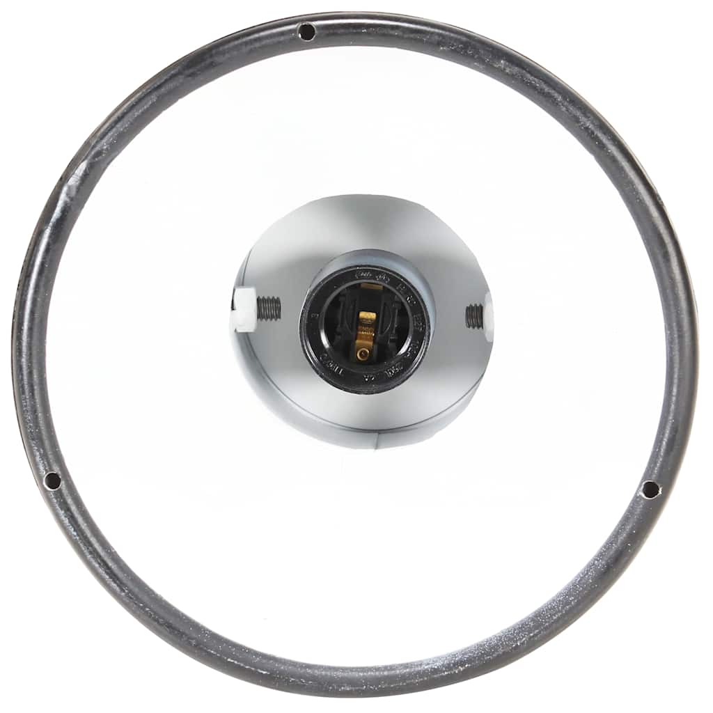 Hanging Lamp | Black | Iron | 19 cm diameter | Hanging Lamp | Round