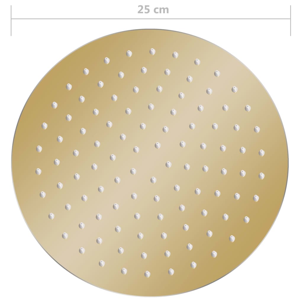 vidaXL Rain Shower Head Stainless Steel 25 cm Round Gold