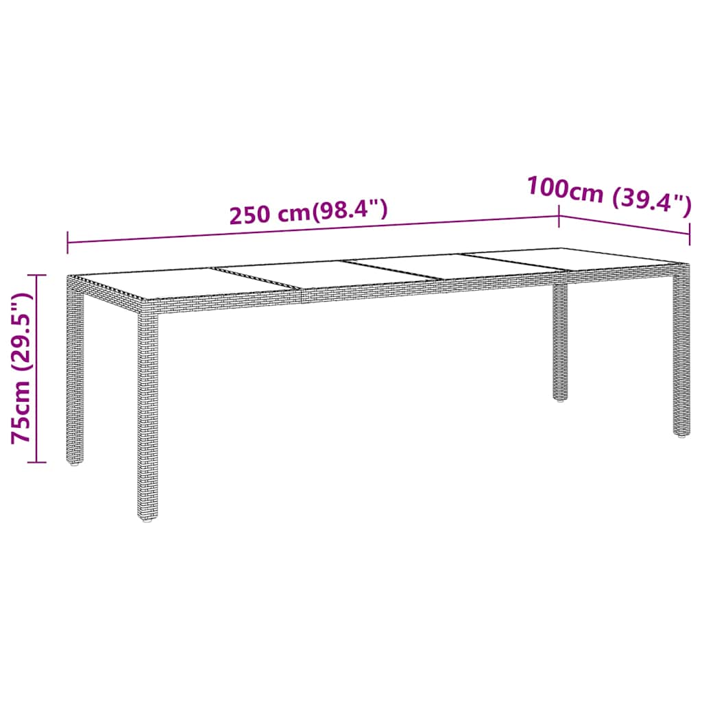 310593 vidaXL Garden Table 250x100x75 cm Tempered Glass and Poly Rattan Grey