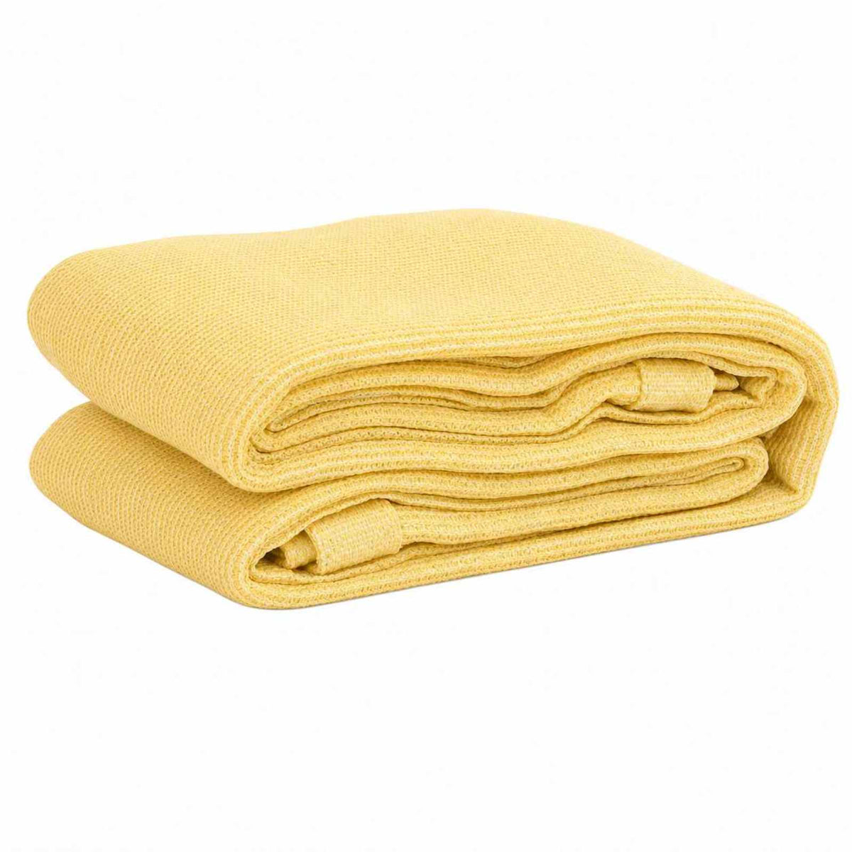 310769 vidaXL Tent Carpet 300x500 cm Beige