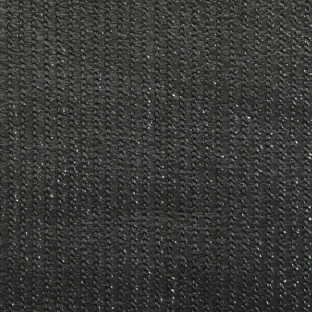 Outdoor Roller Blind 60x140 cm Anthracite