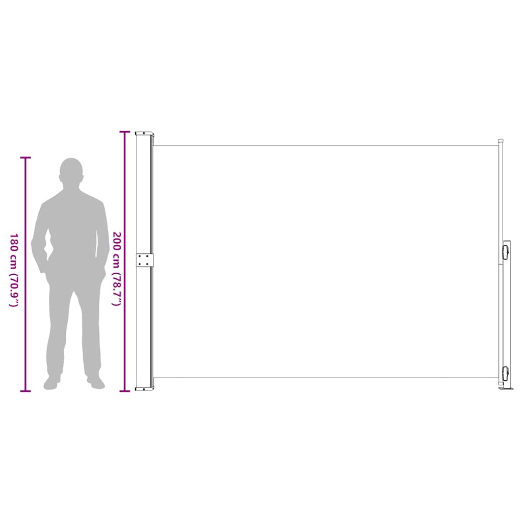 Patio Retractable Side Awning 200x300 cm Grey