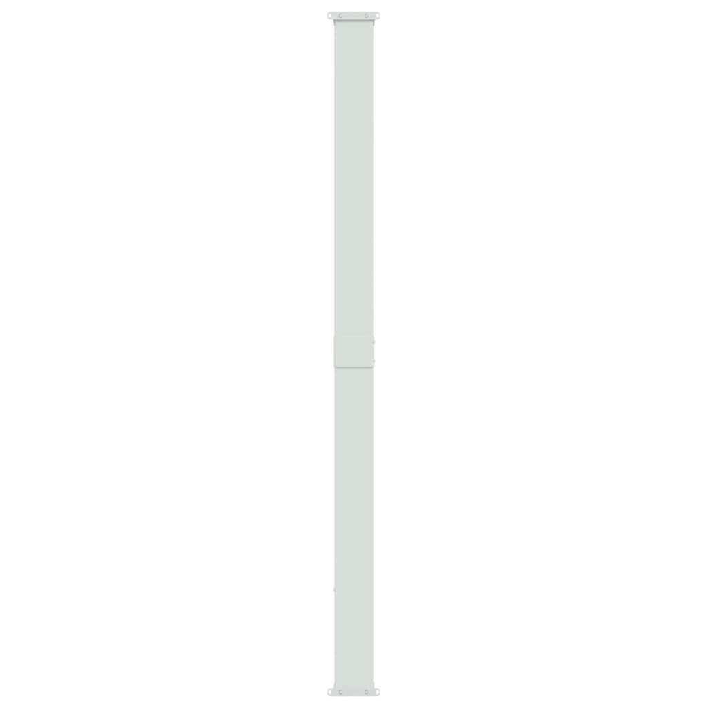 Patio Retractable Side Awning 220x300 cm Black