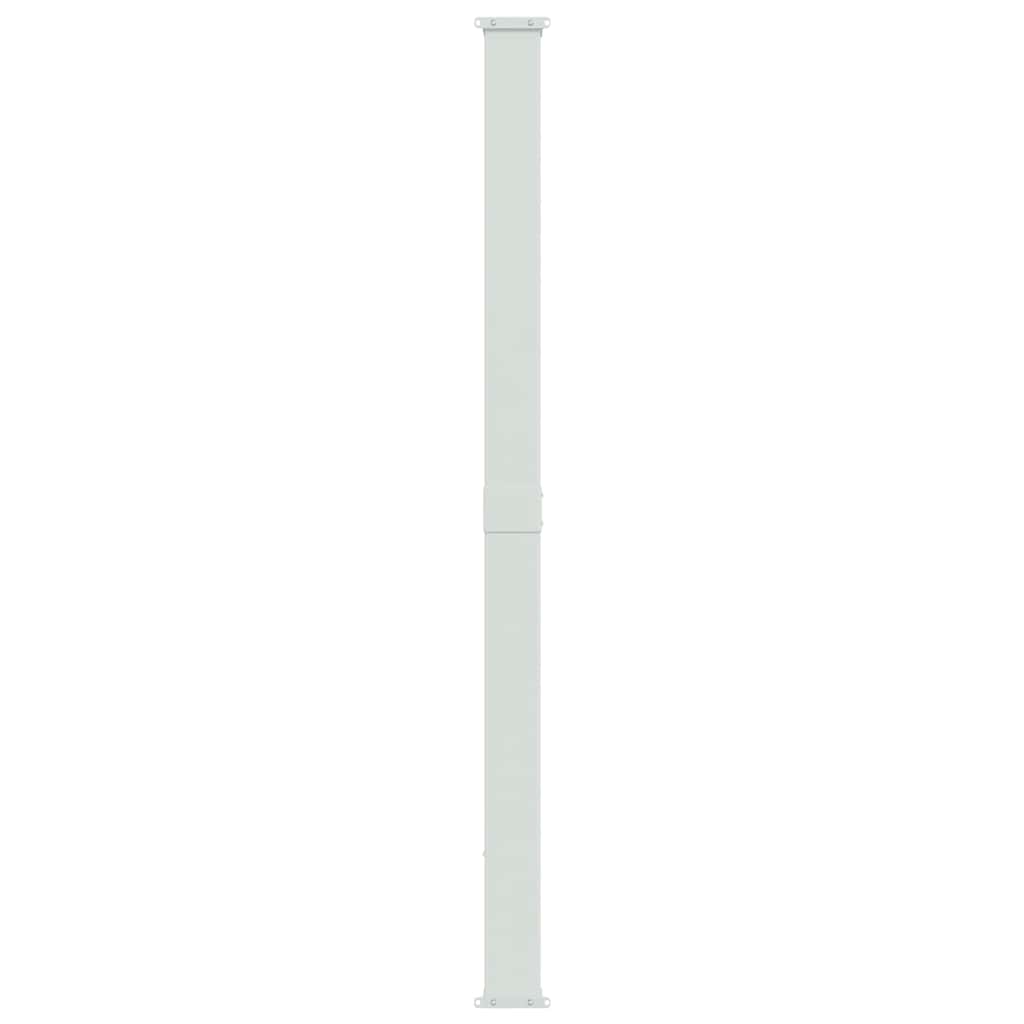 Patio Retractable Side Awning 220x314 cm Black