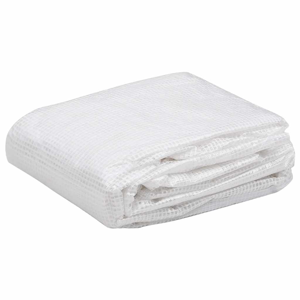 vidaXL Greenhouse Replacement Cover (4.5 m²) 3x1.5x2 m Transparent