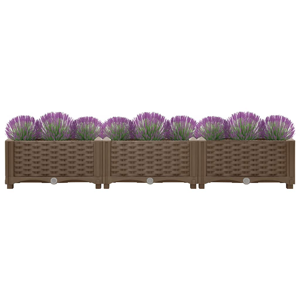 Raised Bed 120x40x23 cm Polypropylene