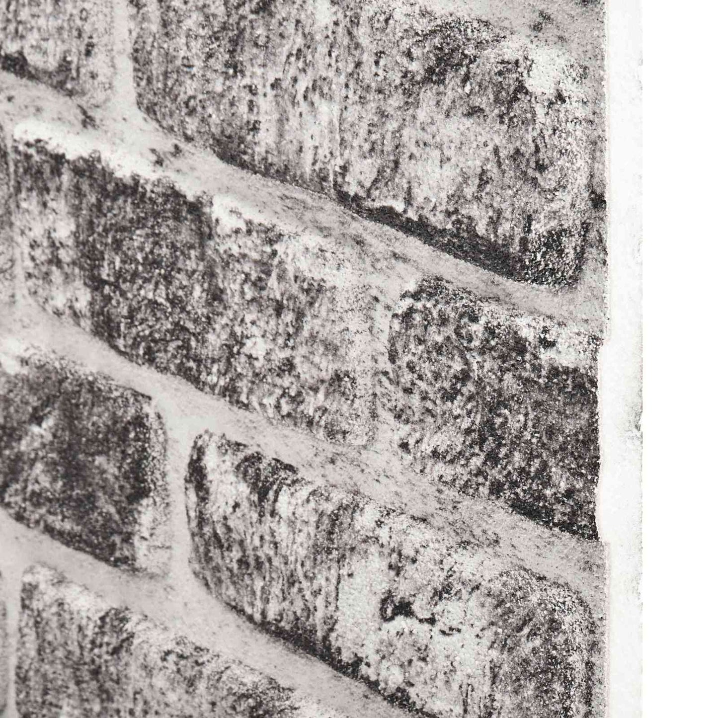 Wall Panels 10 pcs 100 x 50 cm Dark Grey and White EPS Foam