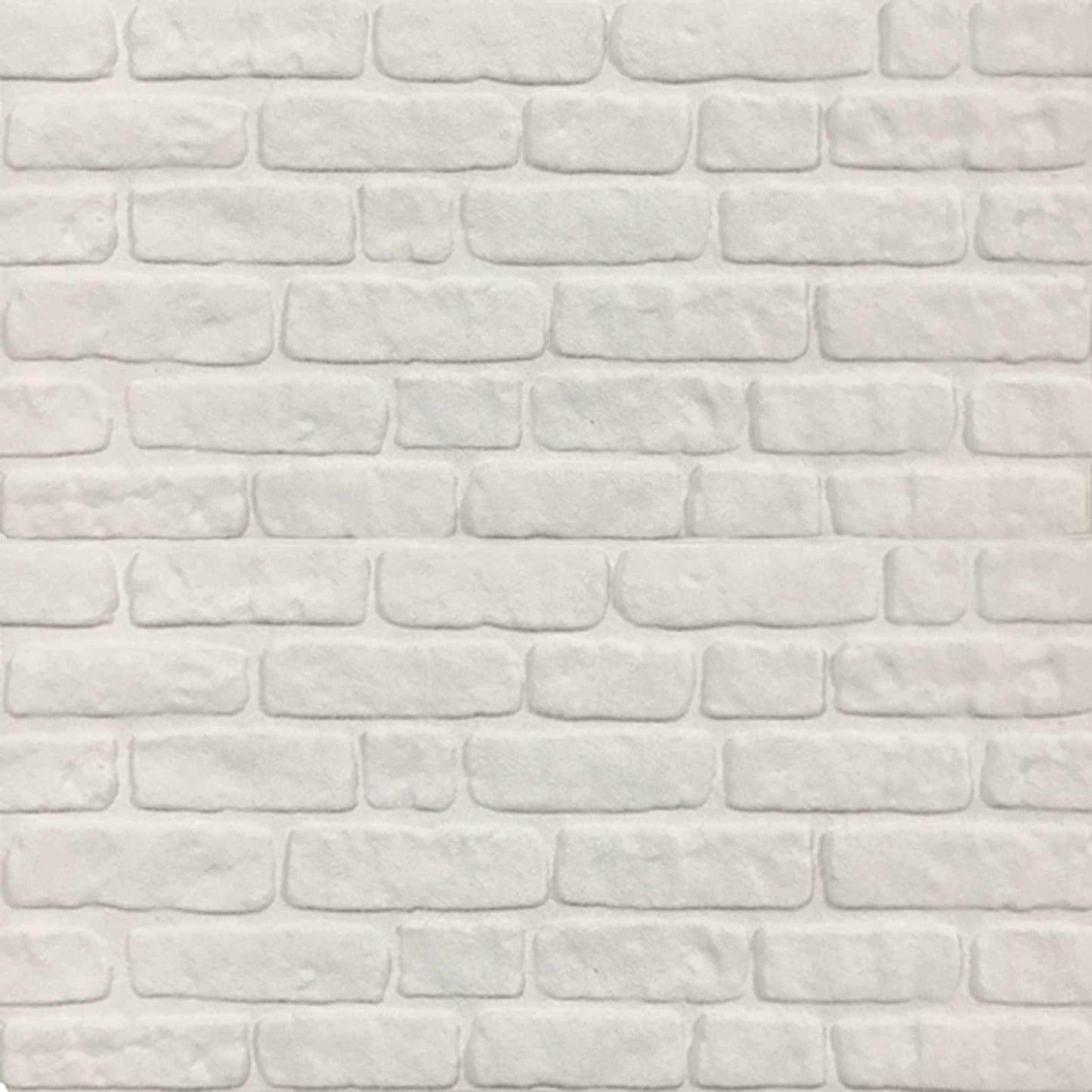 Wall Panels 10 pcs 100 x 50 cm White EPS Foam