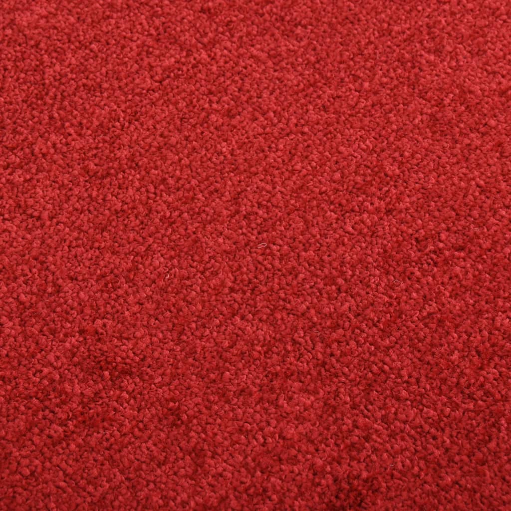 Doormat  Red 40x60 cm