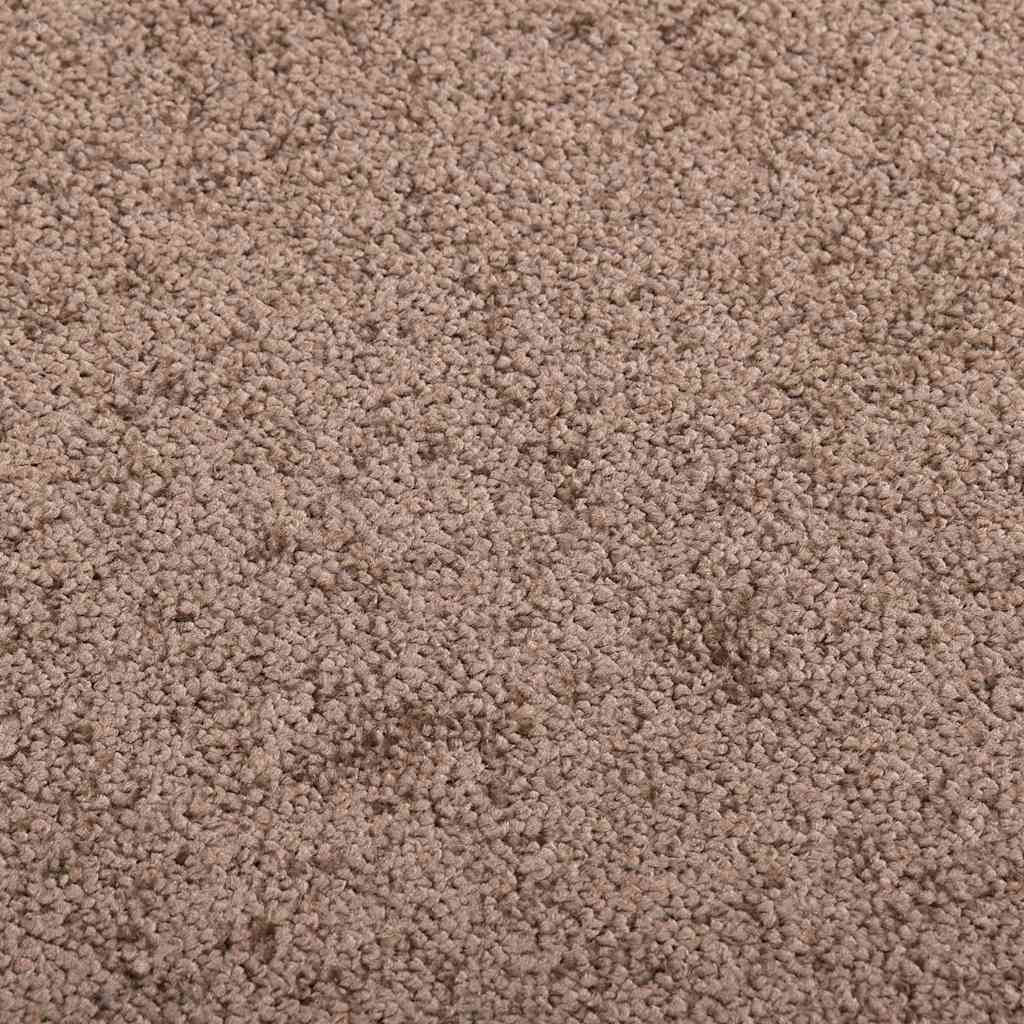 Doormat Brown 40x60 cm