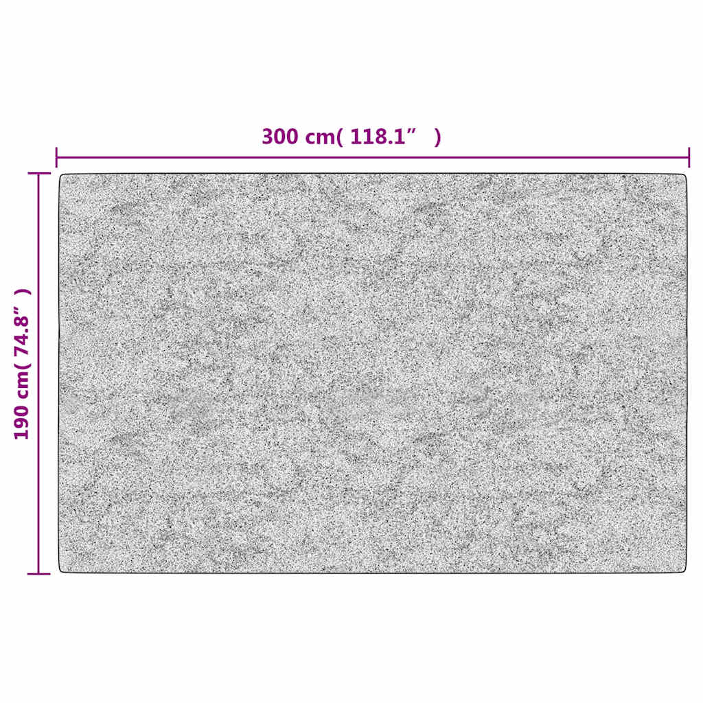 Rug Washable 190x300 cm Anthracite