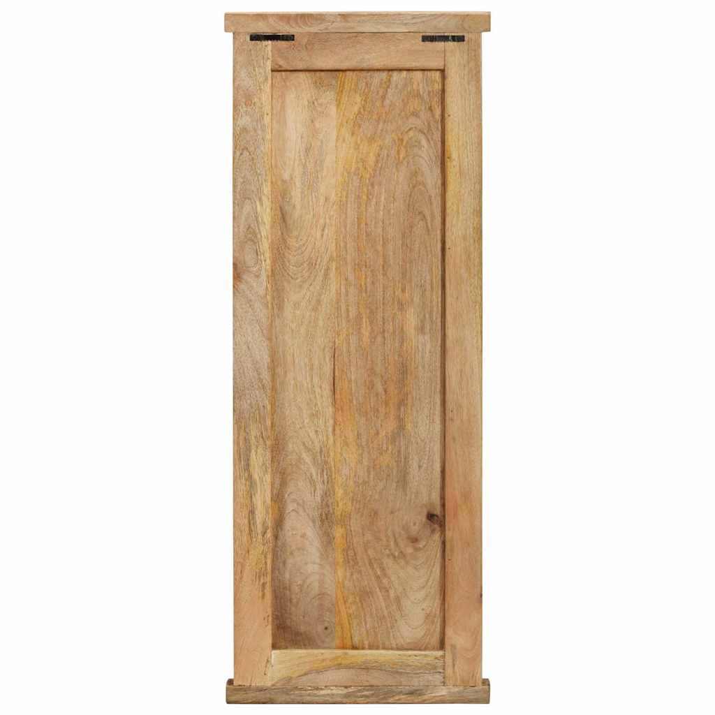 337853 vidaXL Coat Racks 2 pcs Solid Wood Mango 38x100 cm