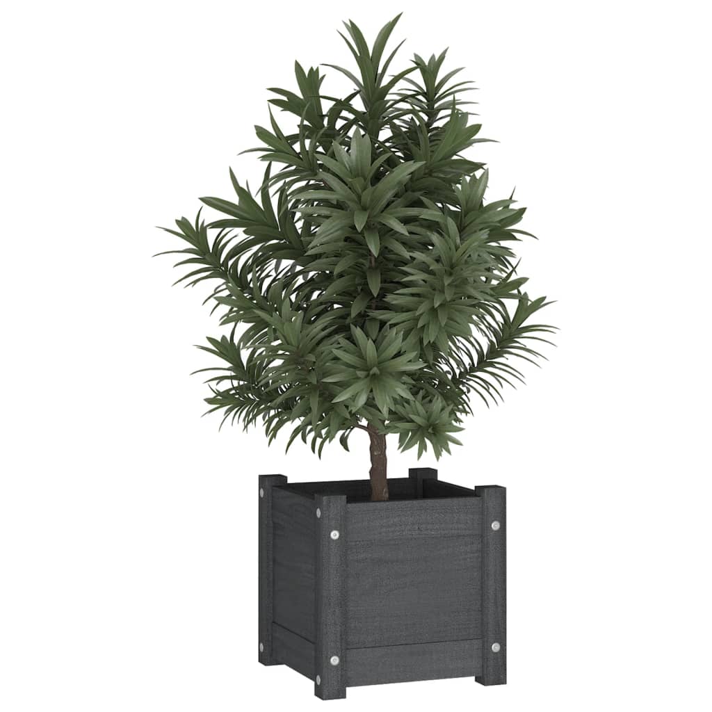 vidaXL Garden Planter Grey 31x31x31 cm Solid Pinewood