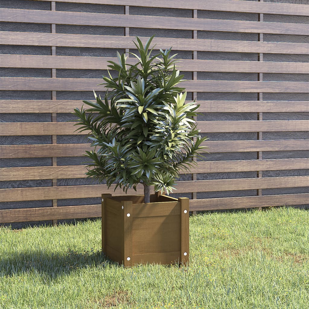 Jardinière Marron Miel 31x31x31 cm Pin Massif