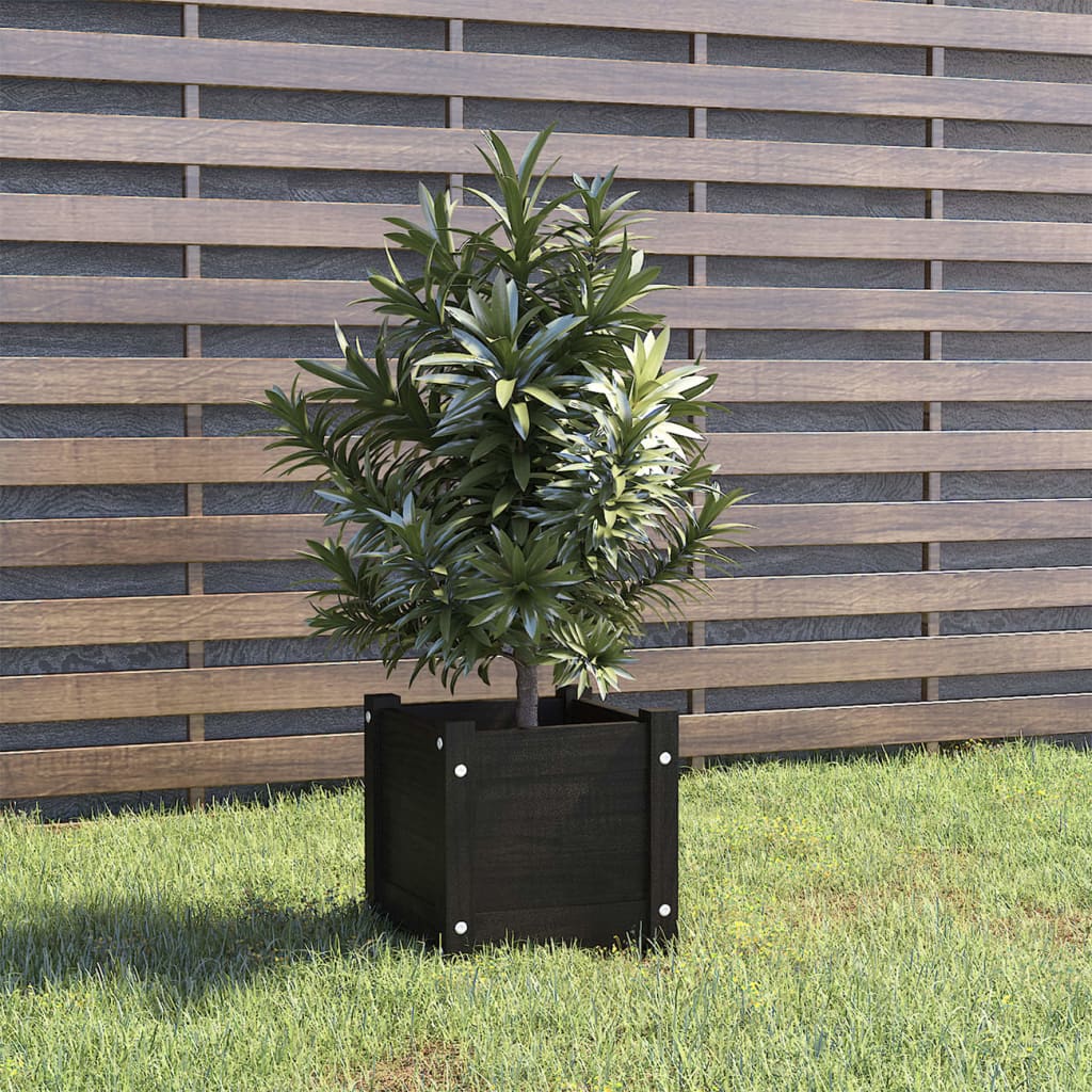 Tuinbak Zwart 31x31x31 cm Massief Grenenhout