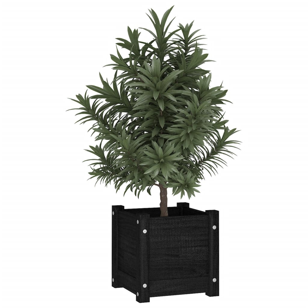 vidaXL Garden Planters 2 pcs Black 31x31x31 cm Solid Pinewood