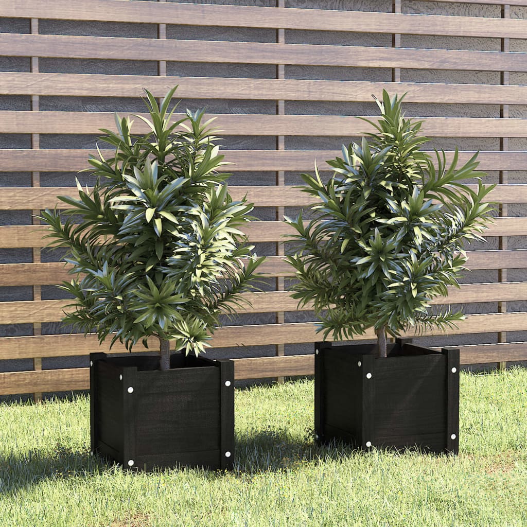 Jardinières 2 pcs Noir 31x31x31 cm Pin Massif