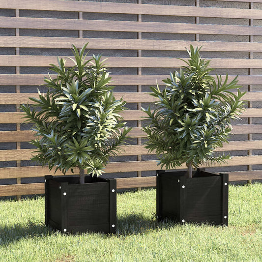 Jardinières 2 pcs Noir 31x31x31 cm Pin Massif