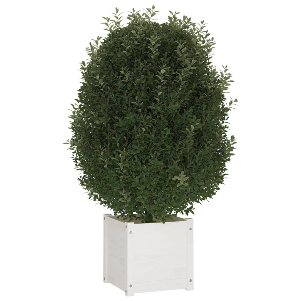 vidaXL Garden Planters 2 pcs White 40x40x40 cm Solid Pinewood