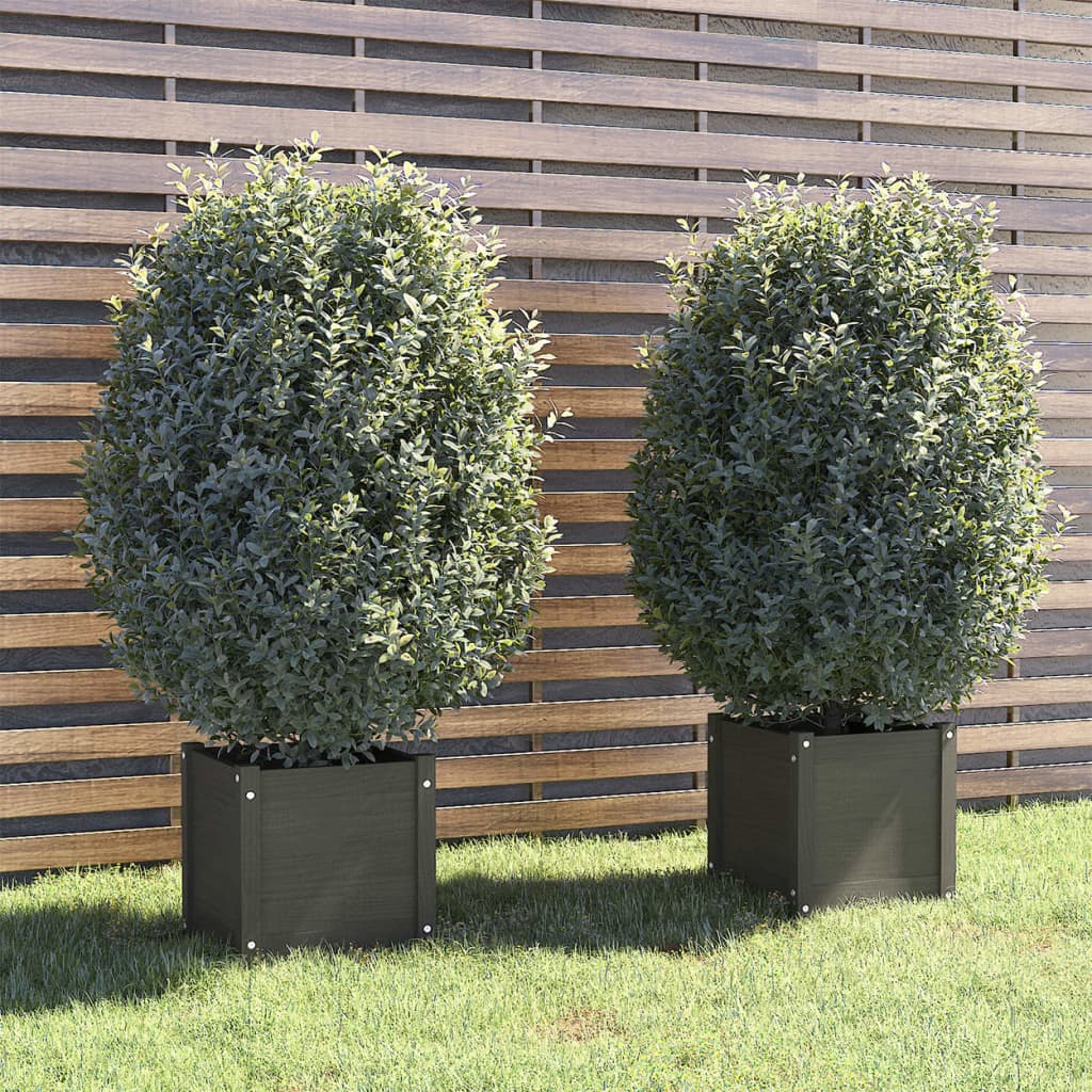 Jardinières 2 pcs Gris 40x40x40 cm Pin Massif