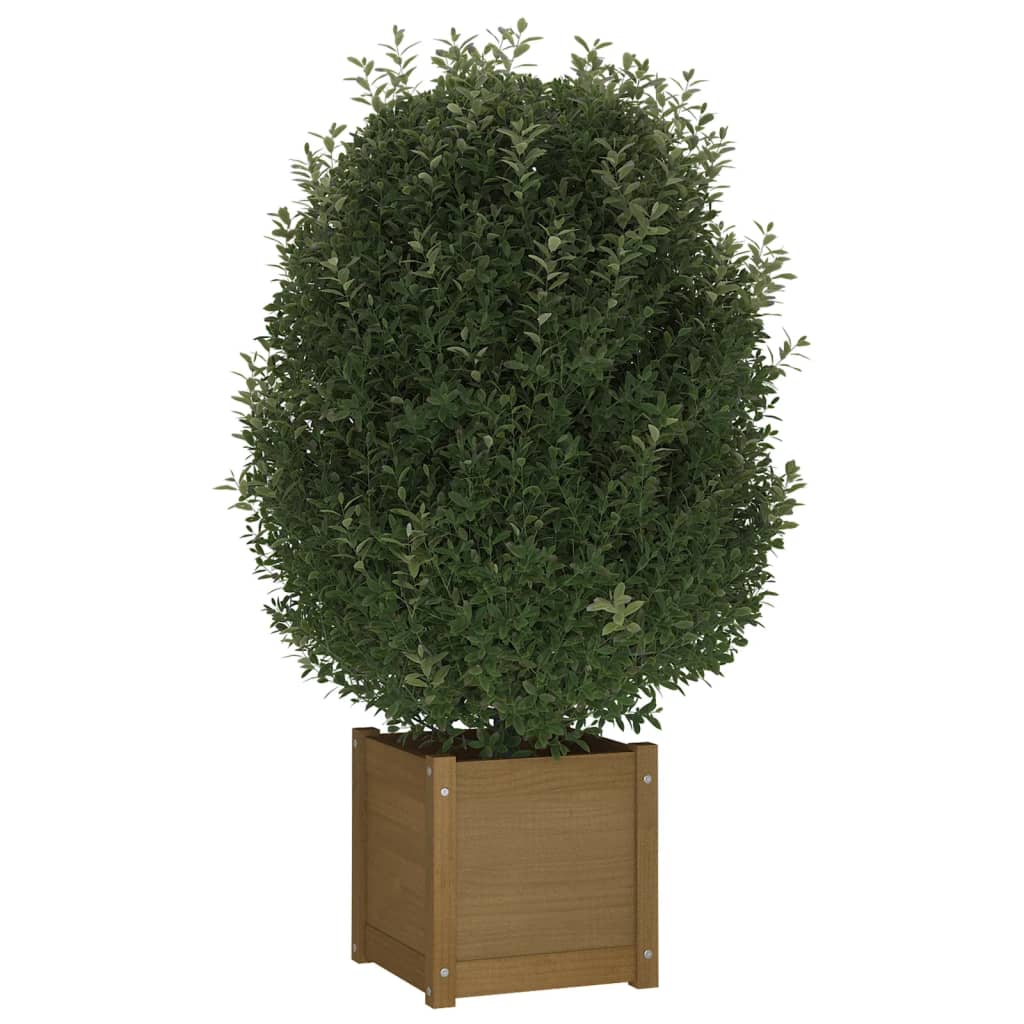 vidaXL Garden Planter Honey Brown 40x40x40 cm Solid Pinewood