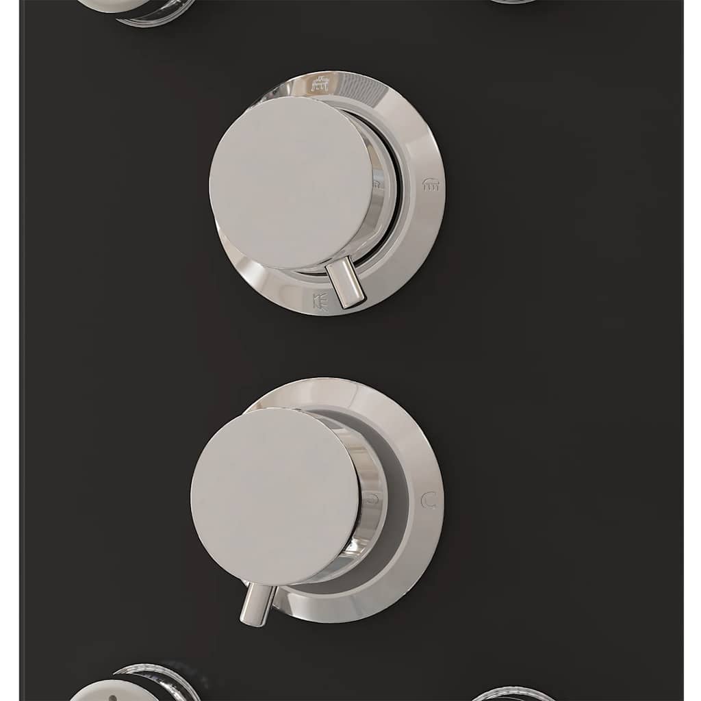 Shower Panel Unit Glass 25x47.5x130 cm Black
