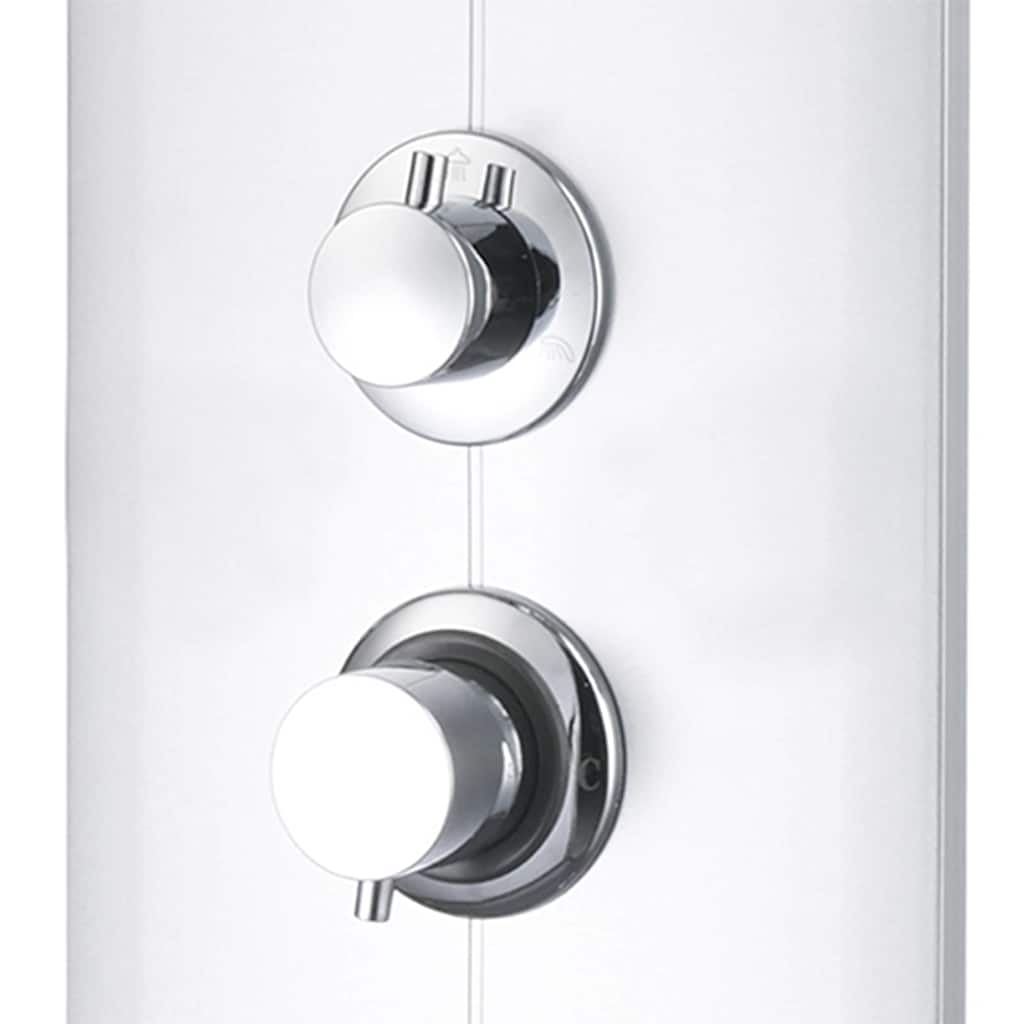 151421 vidaXL Shower Panel Unit 25x43x110 cm Silver