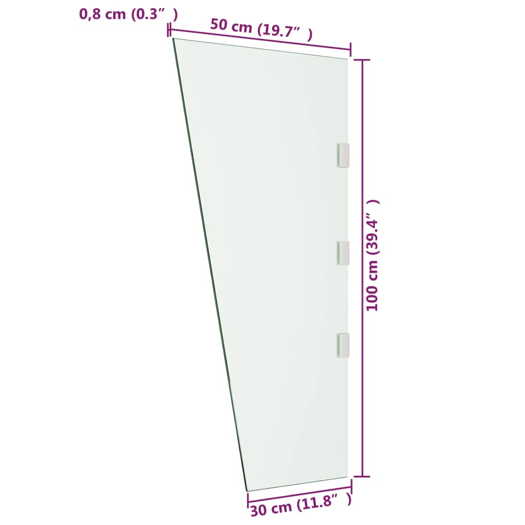 vidaXL Side Panel for Door Canopy Transparent 50x100 cm Tempered Glass