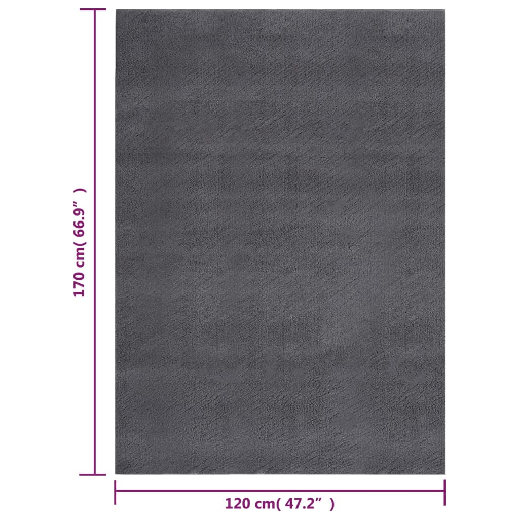 vidaXL Washable Rug Soft Shaggy 120x170 cm Anti Slip Anthracite