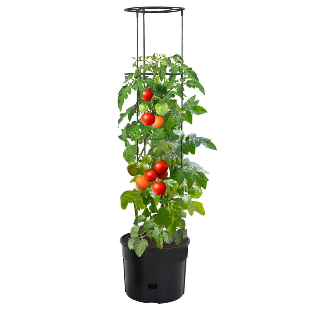 vidaXL Tomato Grower Anthracite Ø39x150 cm Polypropylene