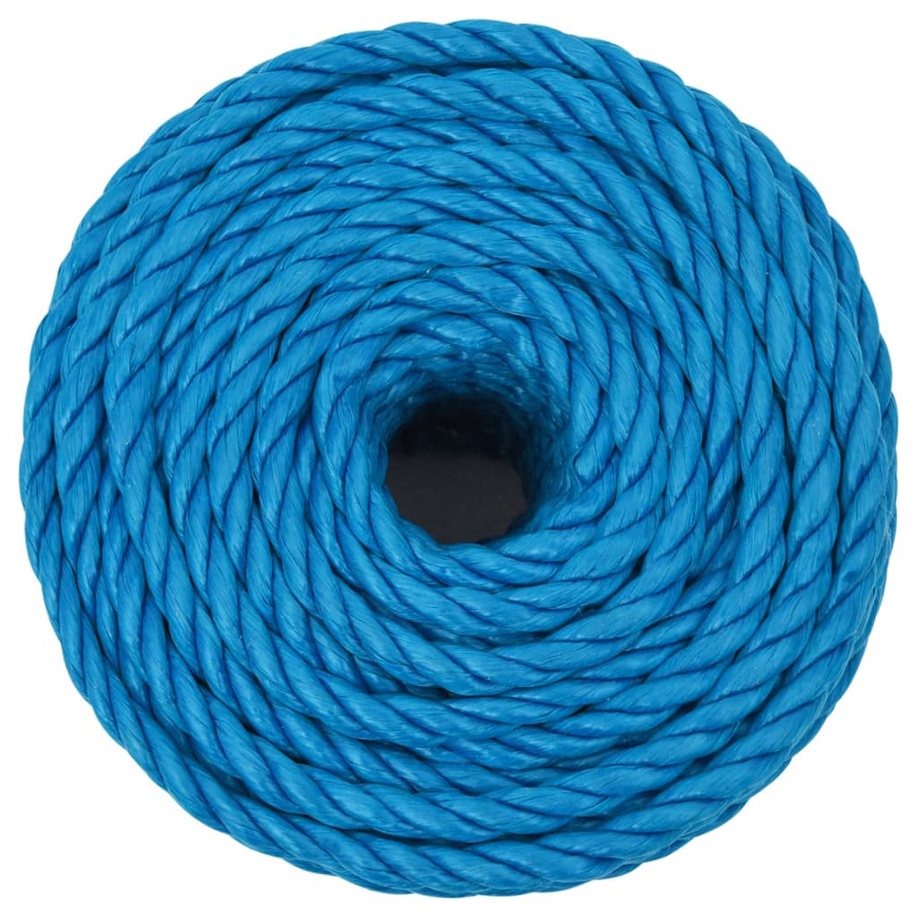 vidaXL Work Rope Blue 10 mm 25 m Polypropylene