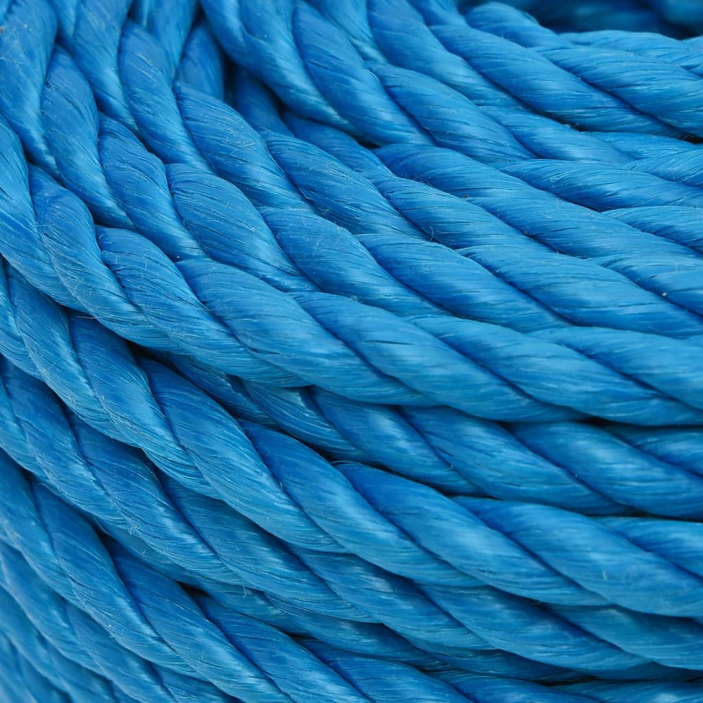 vidaXL Work Rope Blue 10 mm 25 m Polypropylene