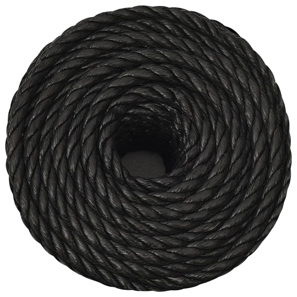 vidaXL Work Rope Black 10 mm 25 m Polypropylene