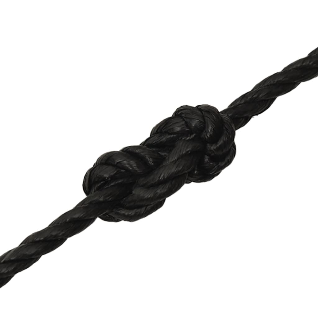 vidaXL Work Rope Black 10 mm 100 m Polypropylene