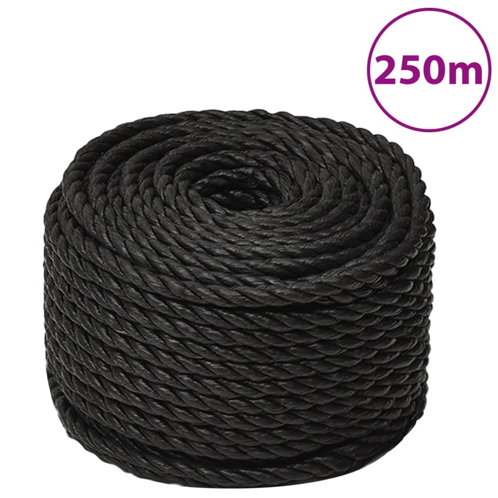 vidaXL Work Rope Black 10 mm 250 m Polypropylene