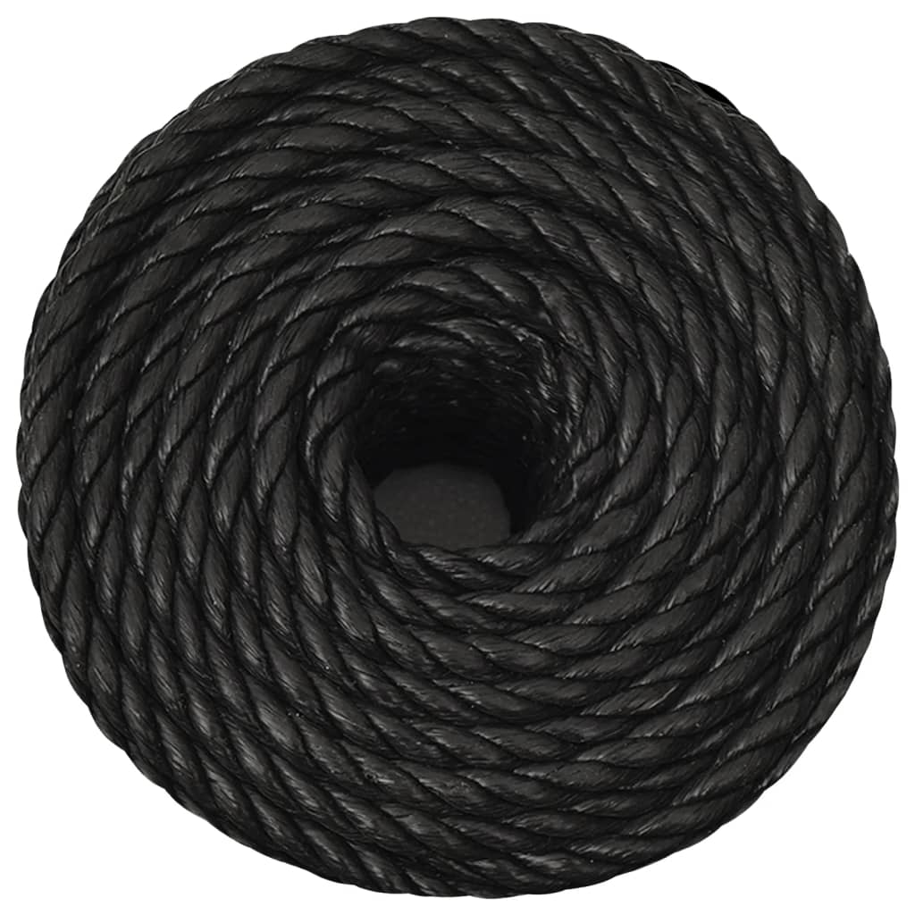 vidaXL Work Rope Black 10 mm 250 m Polypropylene