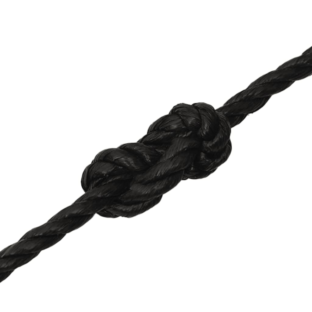 vidaXL Work Rope Black 20 mm 100 m Polypropylene