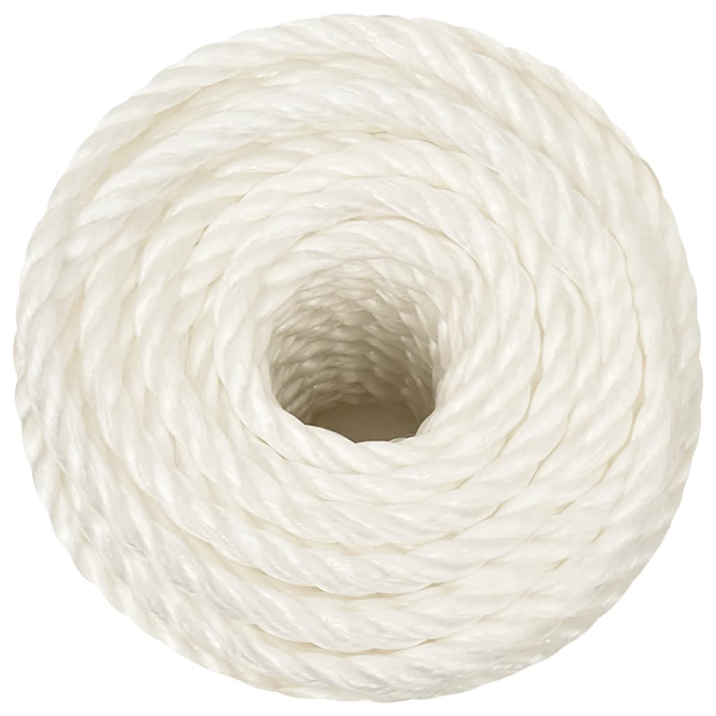 vidaXL Work Rope White 10 mm 25 m Polypropylene