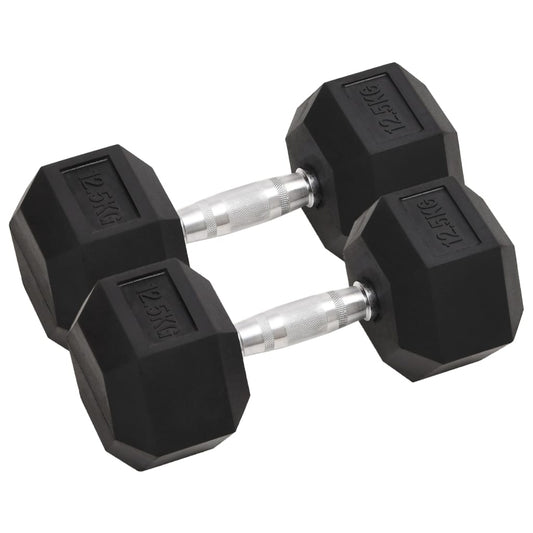 vidaXL Dumbbells 2 pcs 25 kg Cast Iron