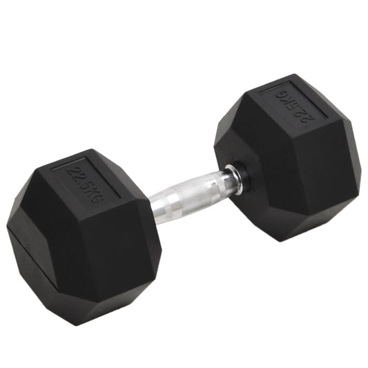 vidaXL Dumbbell 22.5 kg Cast Iron