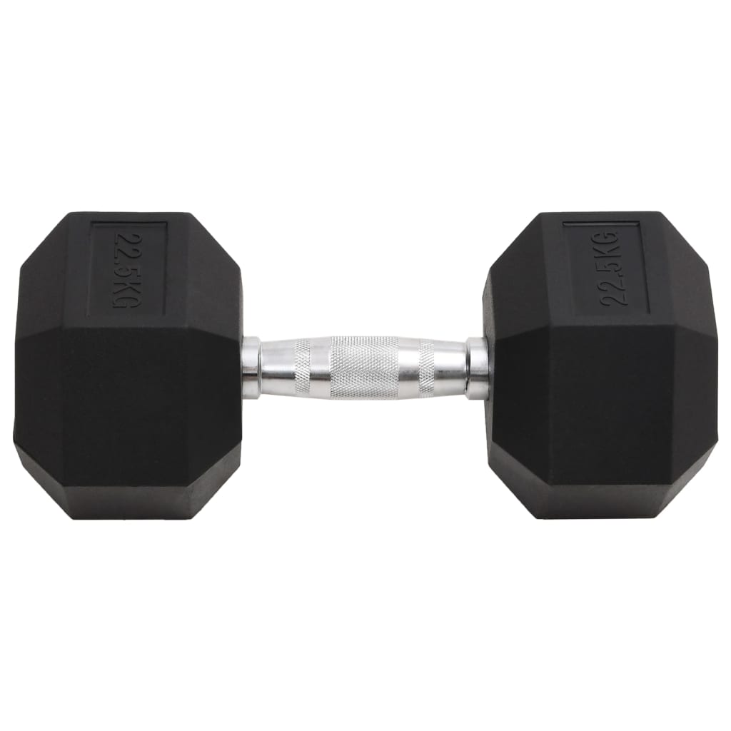 vidaXL Dumbbell 22.5 kg Cast Iron