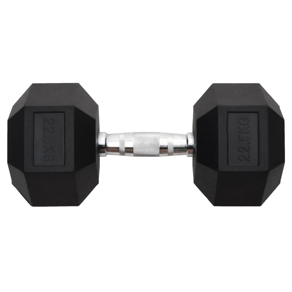 vidaXL Dumbbell 22.5 kg Cast Iron