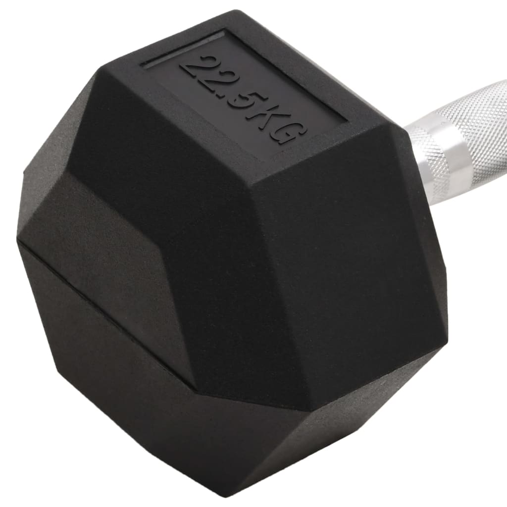 vidaXL Dumbbell 22.5 kg Cast Iron